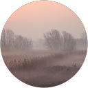 Anne Laoût profielfoto